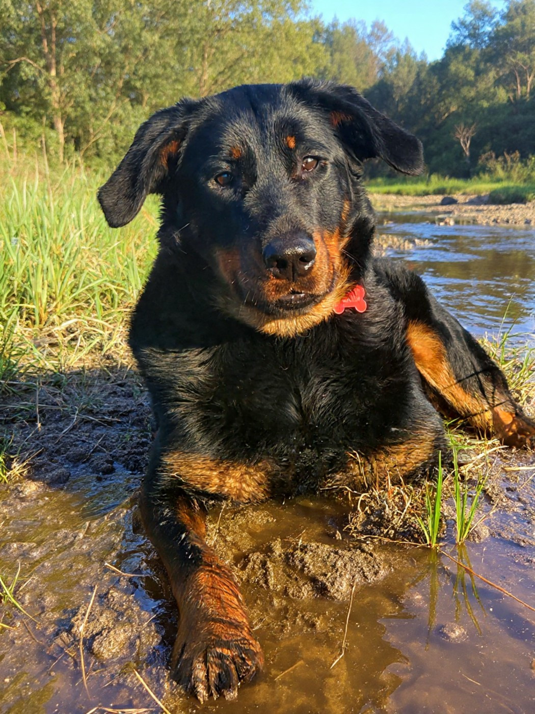 Victoire Les Pensées Du Soleil