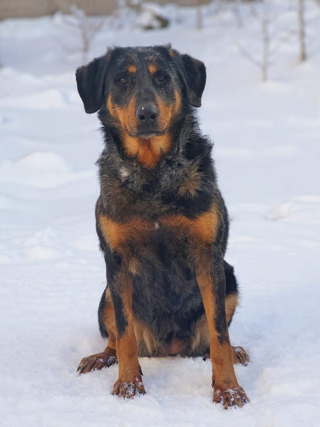 Rêverie etoilée blue des fontaines de l'eau salée