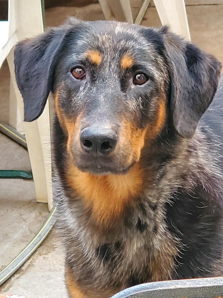 Rêverie etoilée blue des fontaines de l'eau salée