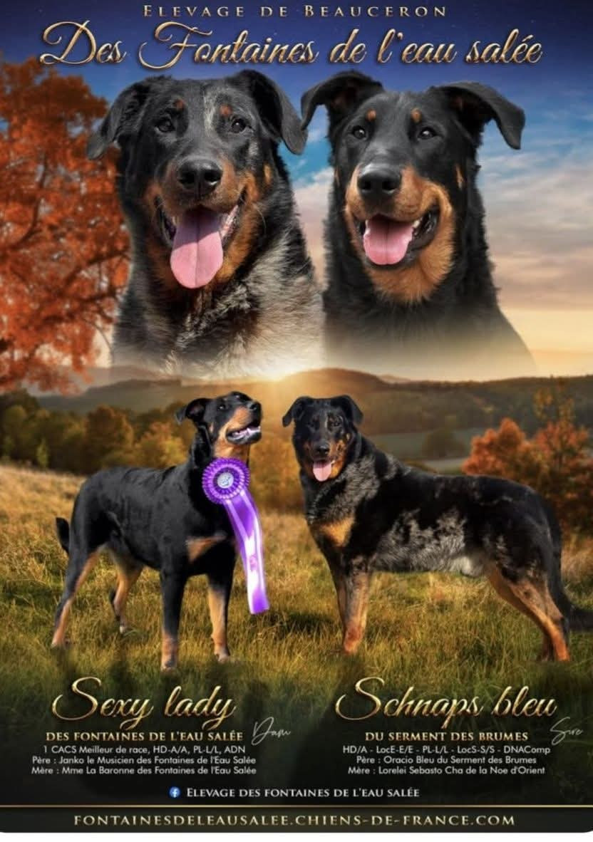 Prochain mariage pour bébés prévu en 2026