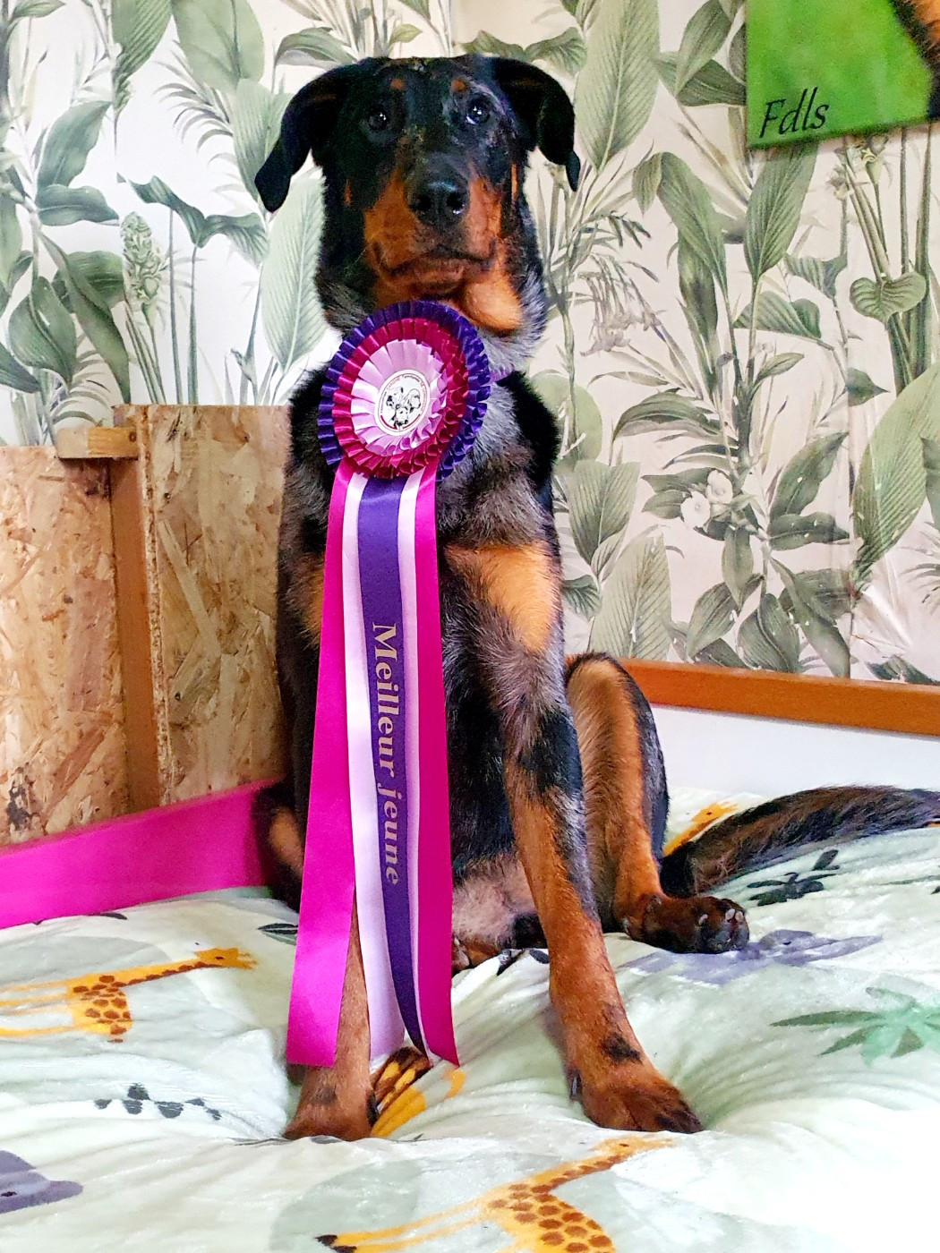 Félicitations ma violette