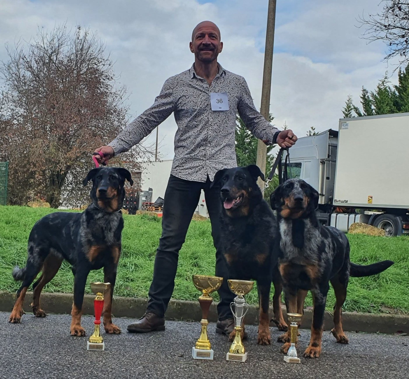 Félicitations schnaps