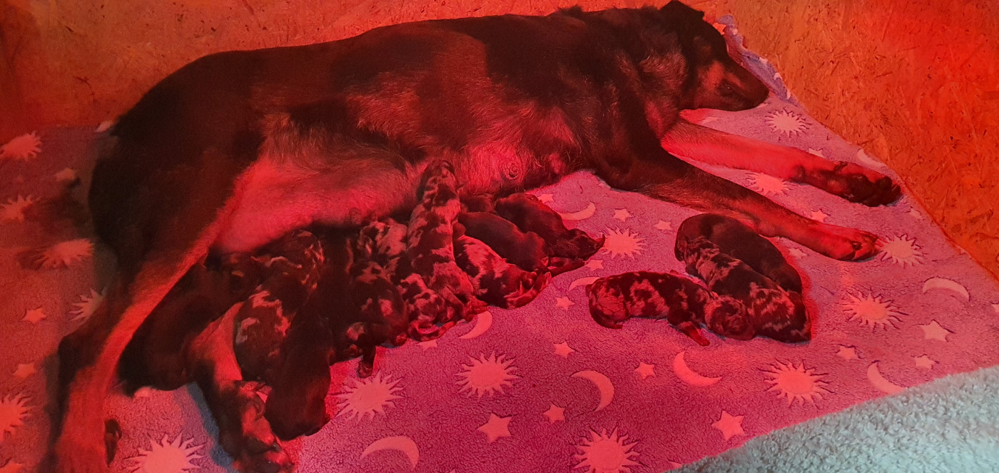 Les bébés sont arrivés