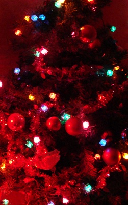 des fontaines de l'eau salée - AUJOURD hui ONT a fais le sapin