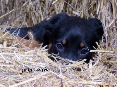 des fontaines de l'eau salée - bébé dirgine 05