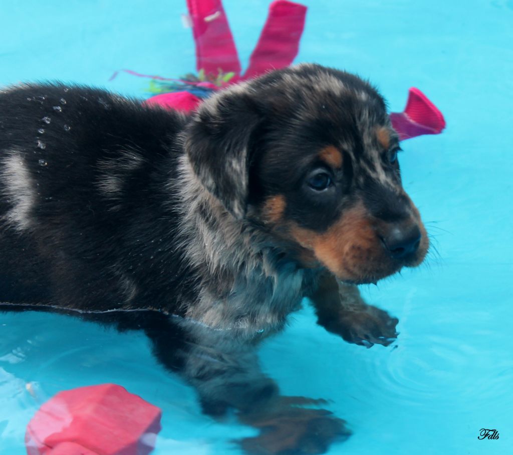 des fontaines de l'eau salée - activité piscine pour les bébés 